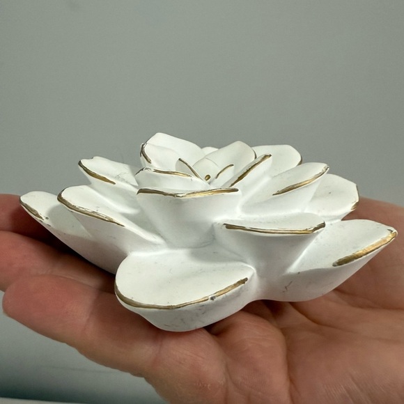 Hobby Lobby White and Gold Succulent Floral Wall Art size Small set of 8 - Picture 3 of 6